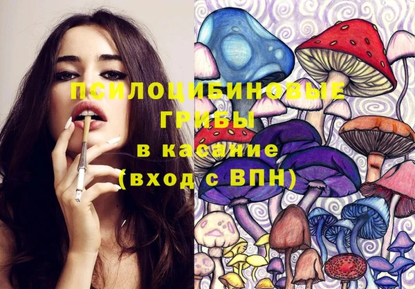 PSILOCYBIN Горно-Алтайск