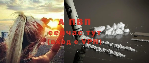 PSILOCYBIN Горно-Алтайск
