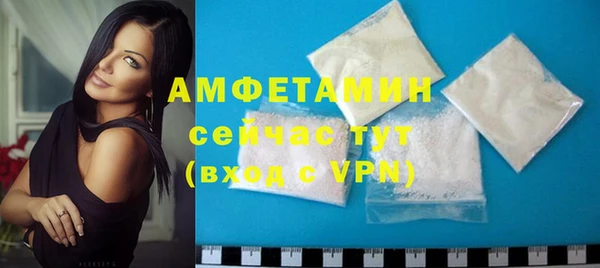 гидра Горнозаводск