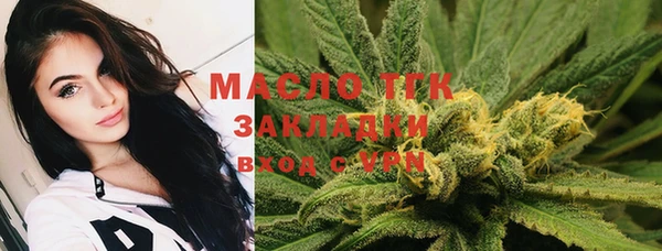 гидра Горнозаводск