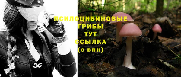 марки nbome Горняк