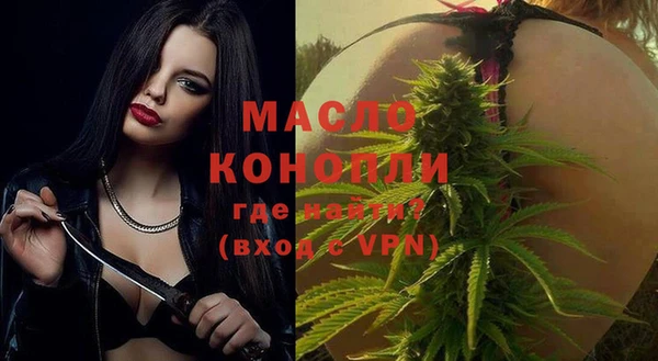 гидра Горнозаводск